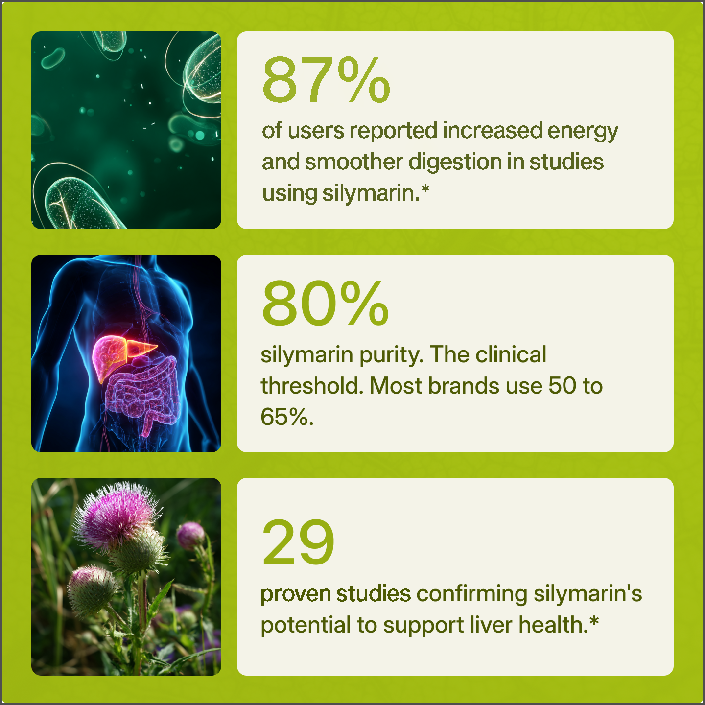 Syll - Milk Thistle Gut Support