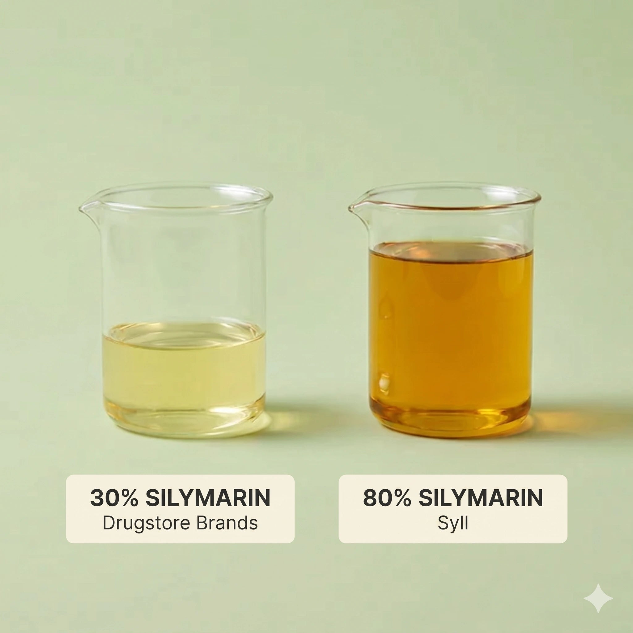SYLL - Milk Thistle Detox UK