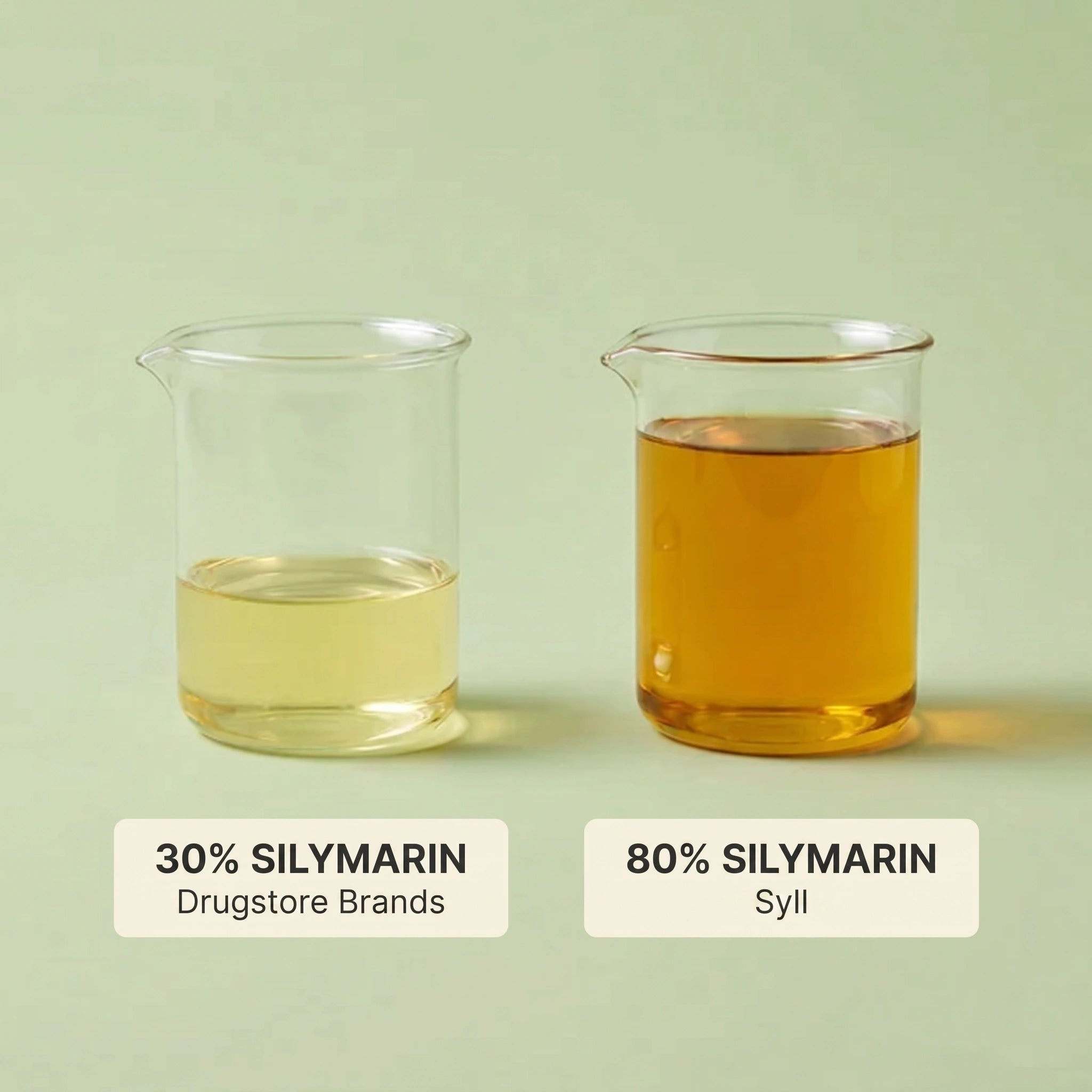 SYLL - Milk Thistle Liver Detox (UK)