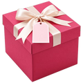 FREE Mystery Gift