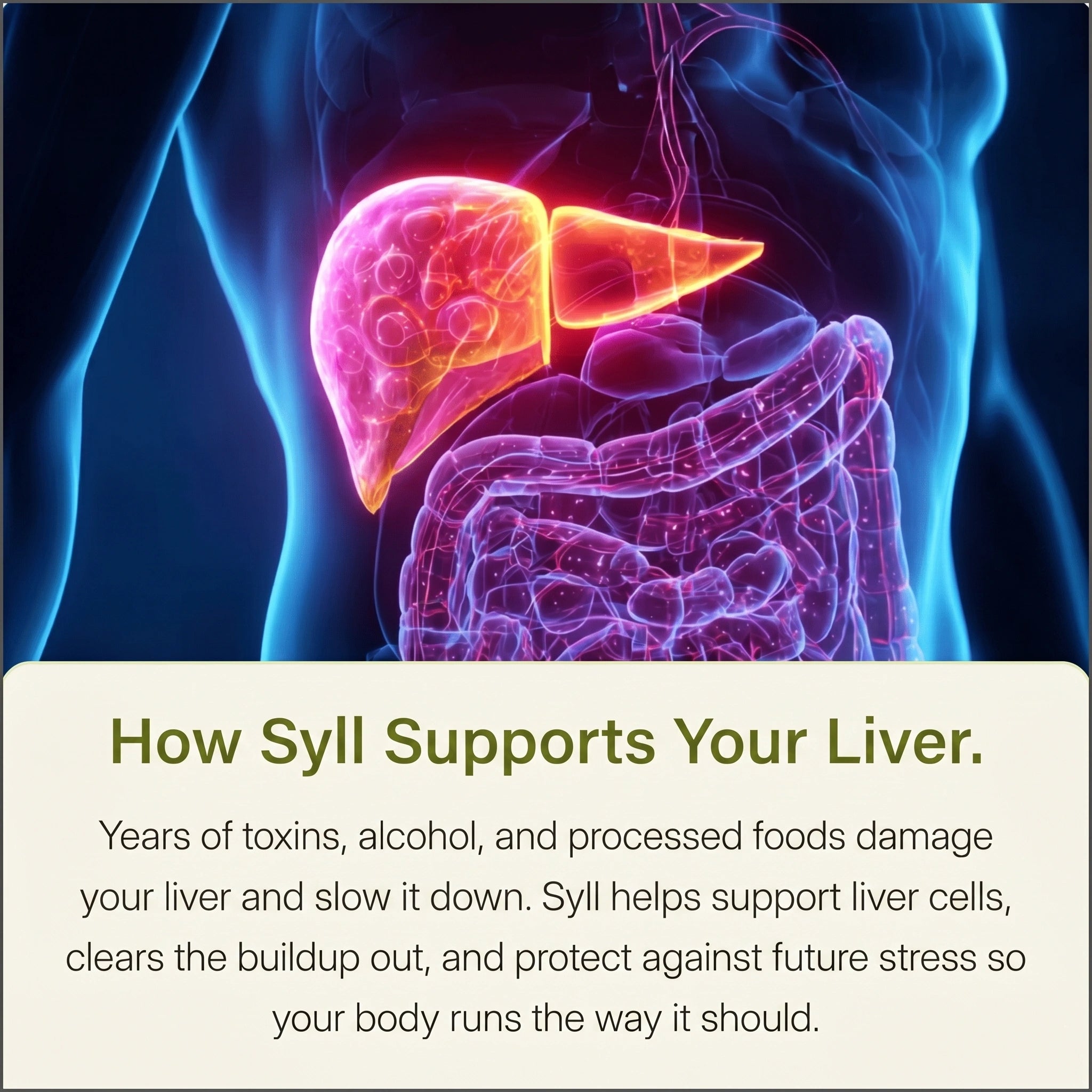 SYLL - Milk Thistle Detox UK